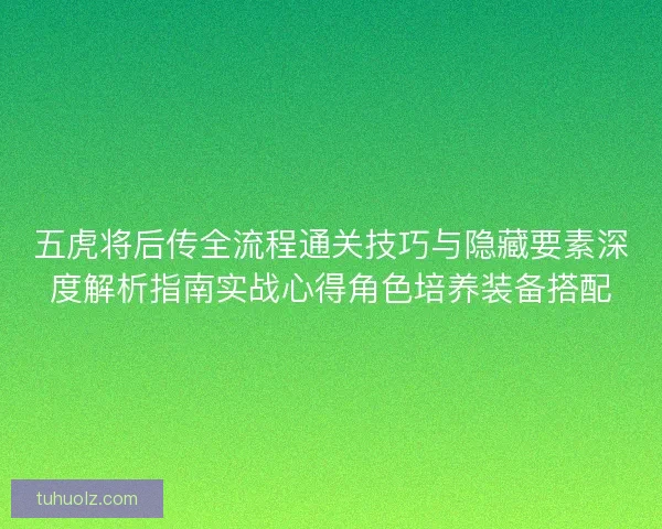 五虎将后传全流程通关技巧与隐藏要素深度解析指南实战心得角色培养装备搭配